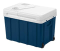 Mini frigo portatile auto per giardino, Frigoriferi 12 V 230 V