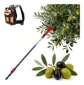 Potenza Raccolta Professionale raccoglitrice Picconi 250W 600W