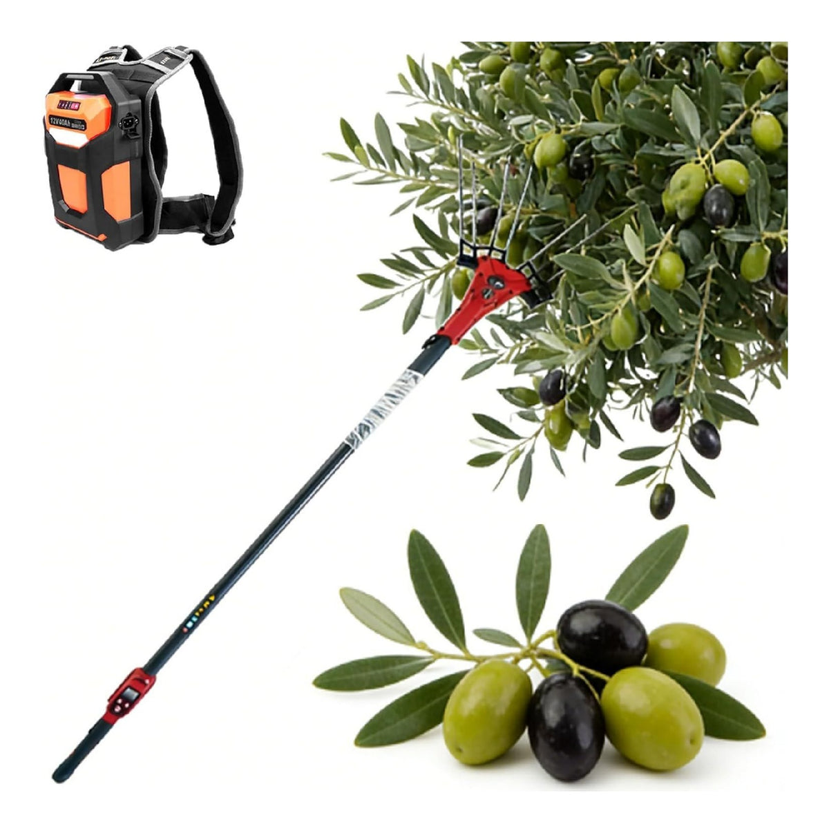 Potenza Raccolta Professionale raccoglitrice Picconi 250W 600W